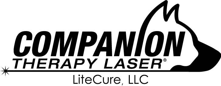 Companion therapy laser logo