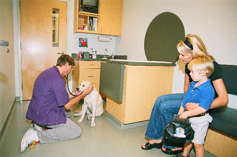 Kingsbury Animal Hospital veterinarian with patient