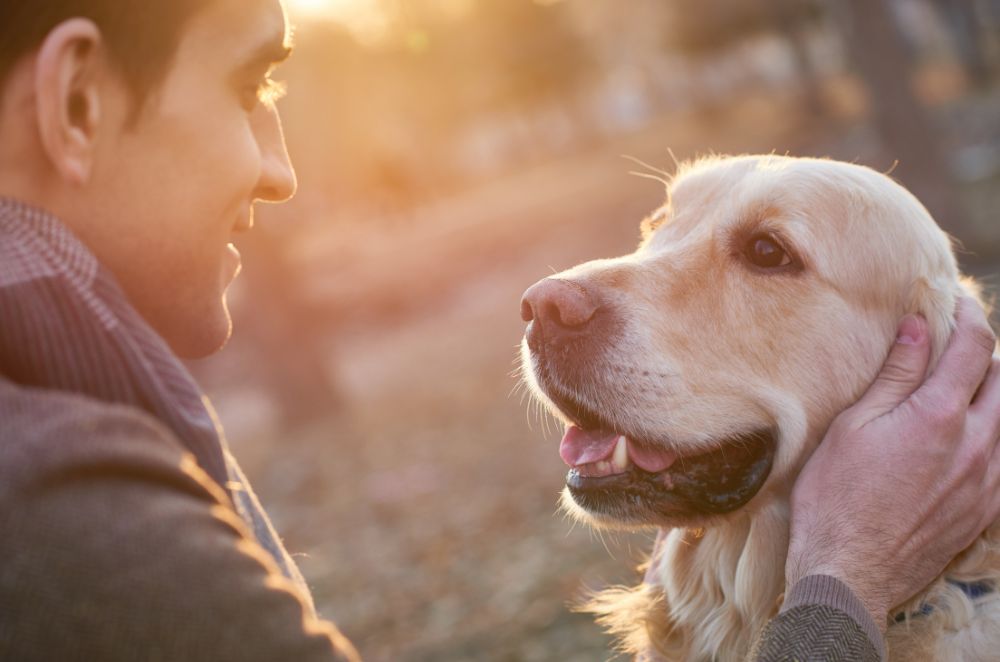 A man gently pets a dog as the sun sets