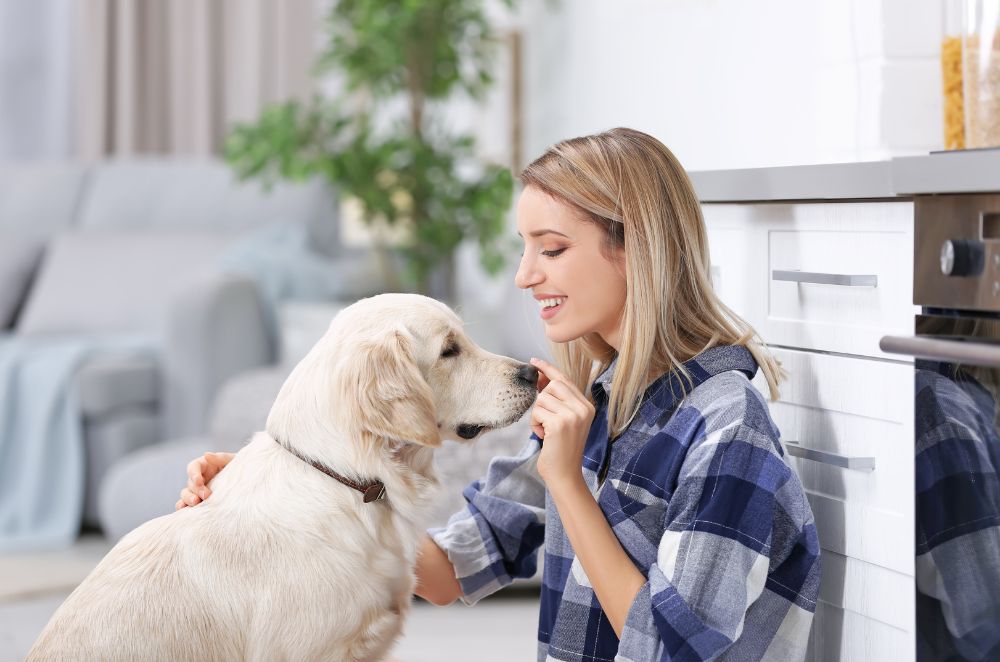 A person is petting their dog in the kitchen