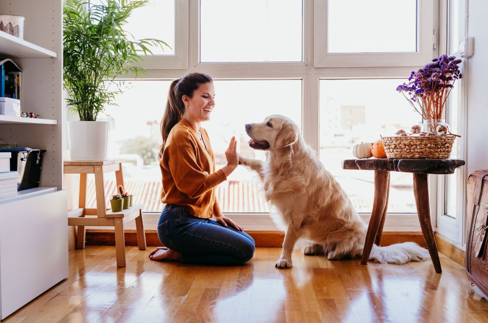 A woman affectionately pets her dog beside a window