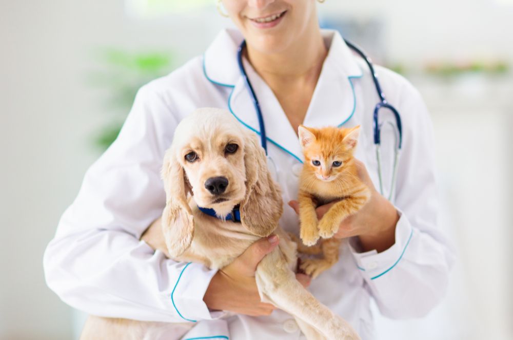 a person in a white lab coat holding a dog and a cat