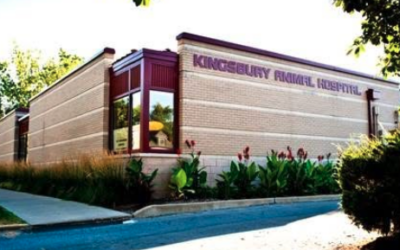 When Urgent Care is the Right Choice
